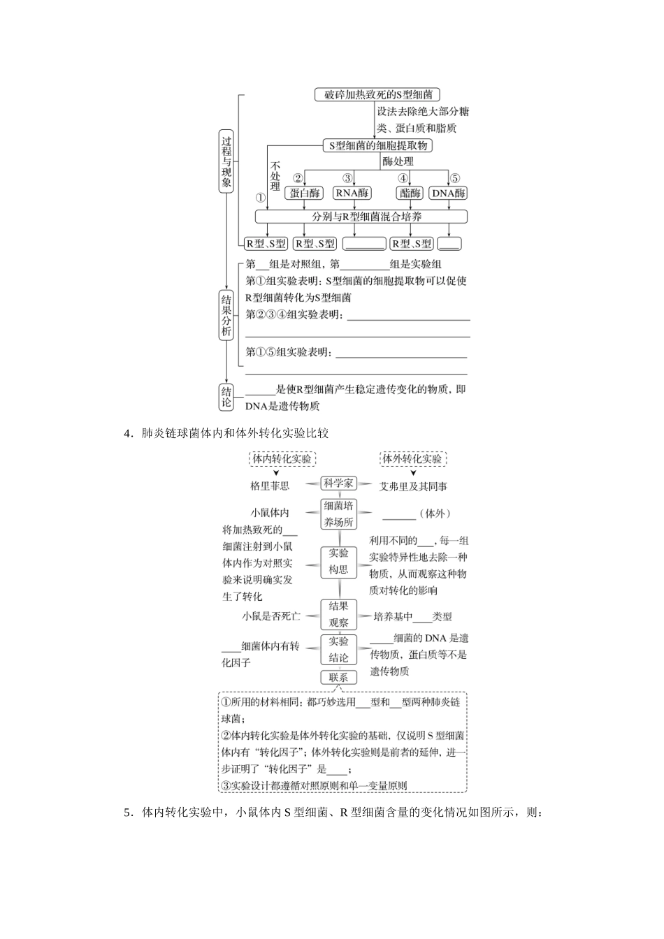 第1讲遗传物质的经典探究实验.docx_第3页