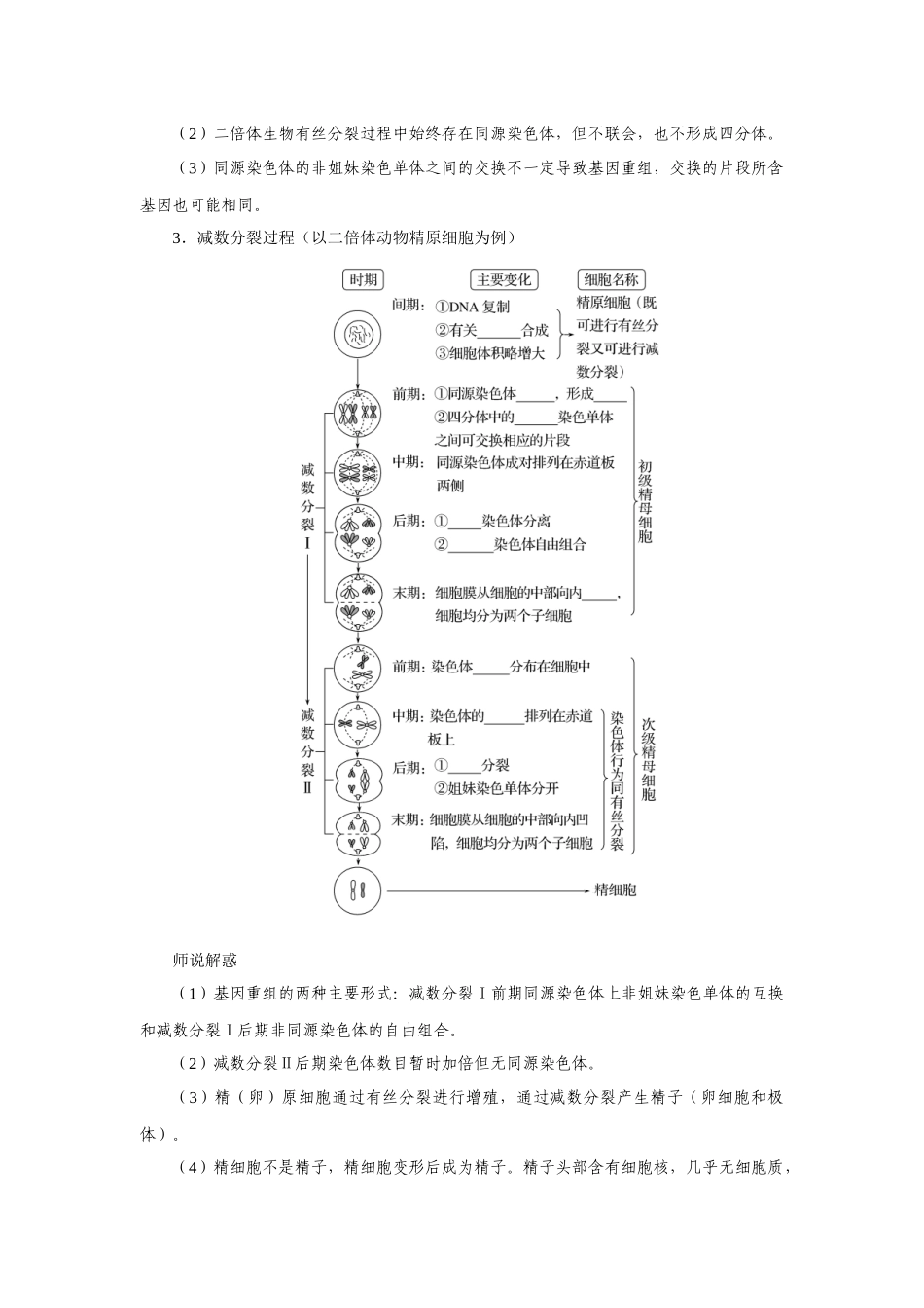 第2讲减数分裂和受精作用.docx_第3页