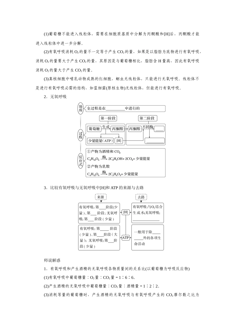 第2讲细胞呼吸.docx_第3页