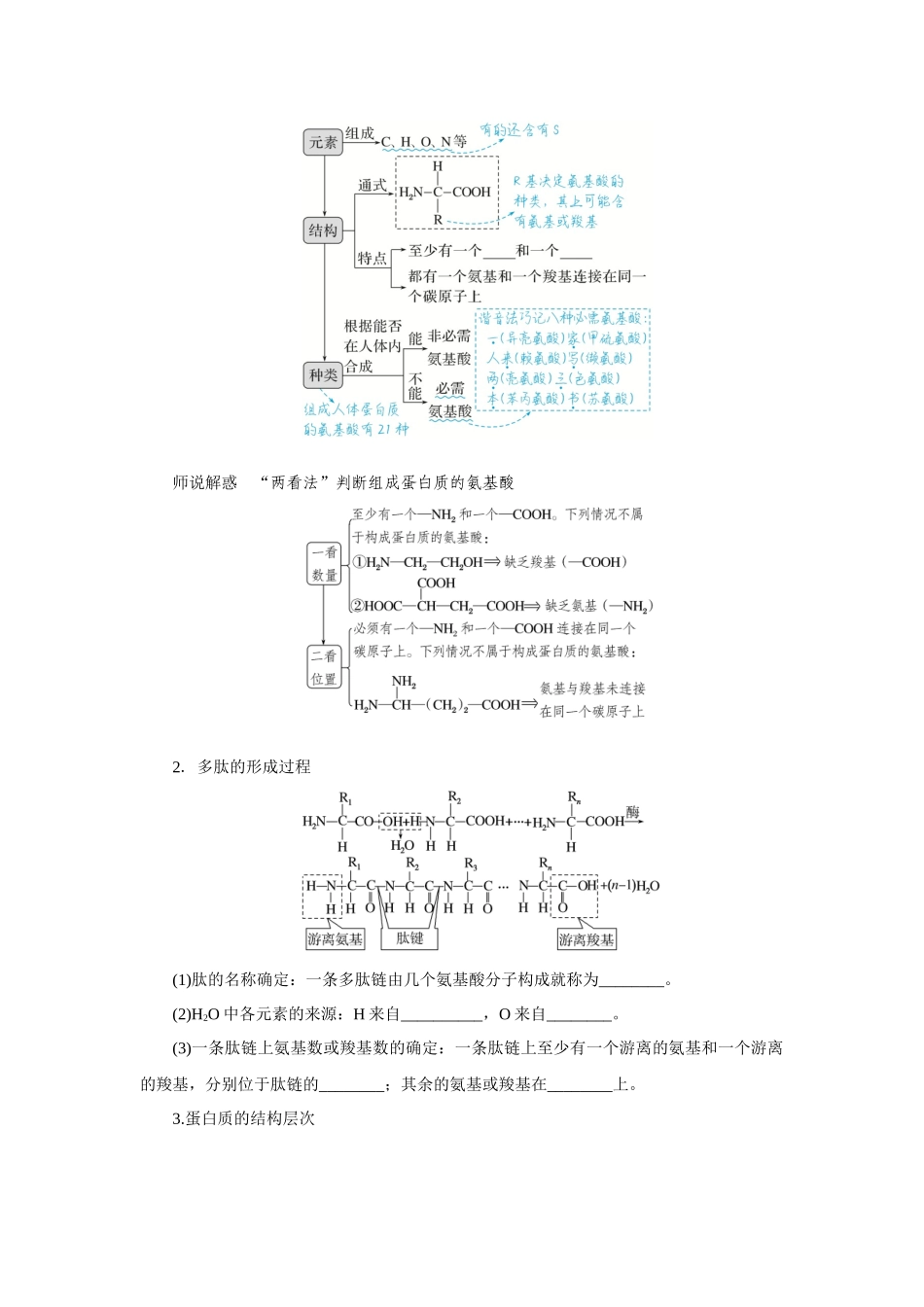 第3讲蛋白质和核酸(1).docx_第2页
