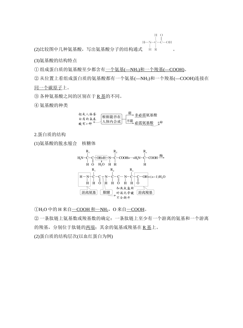 第3讲蛋白质和核酸.docx_第2页