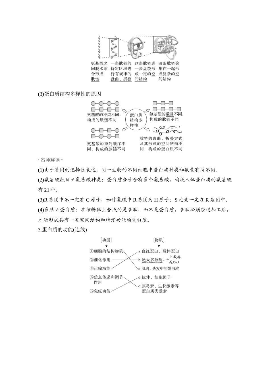 第3讲蛋白质和核酸.docx_第3页