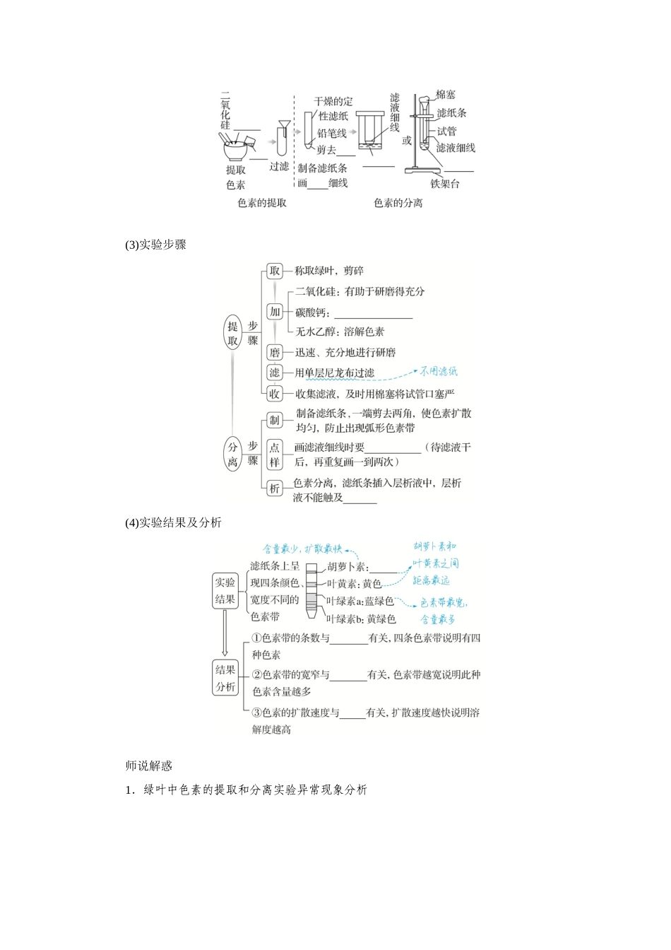 第3讲光合作用.docx_第3页