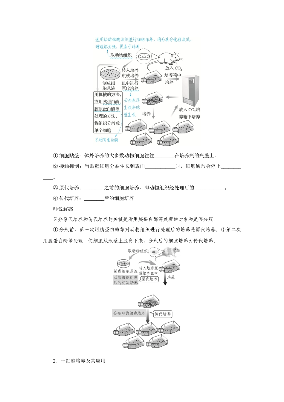 第4讲动物细胞工程.docx_第3页