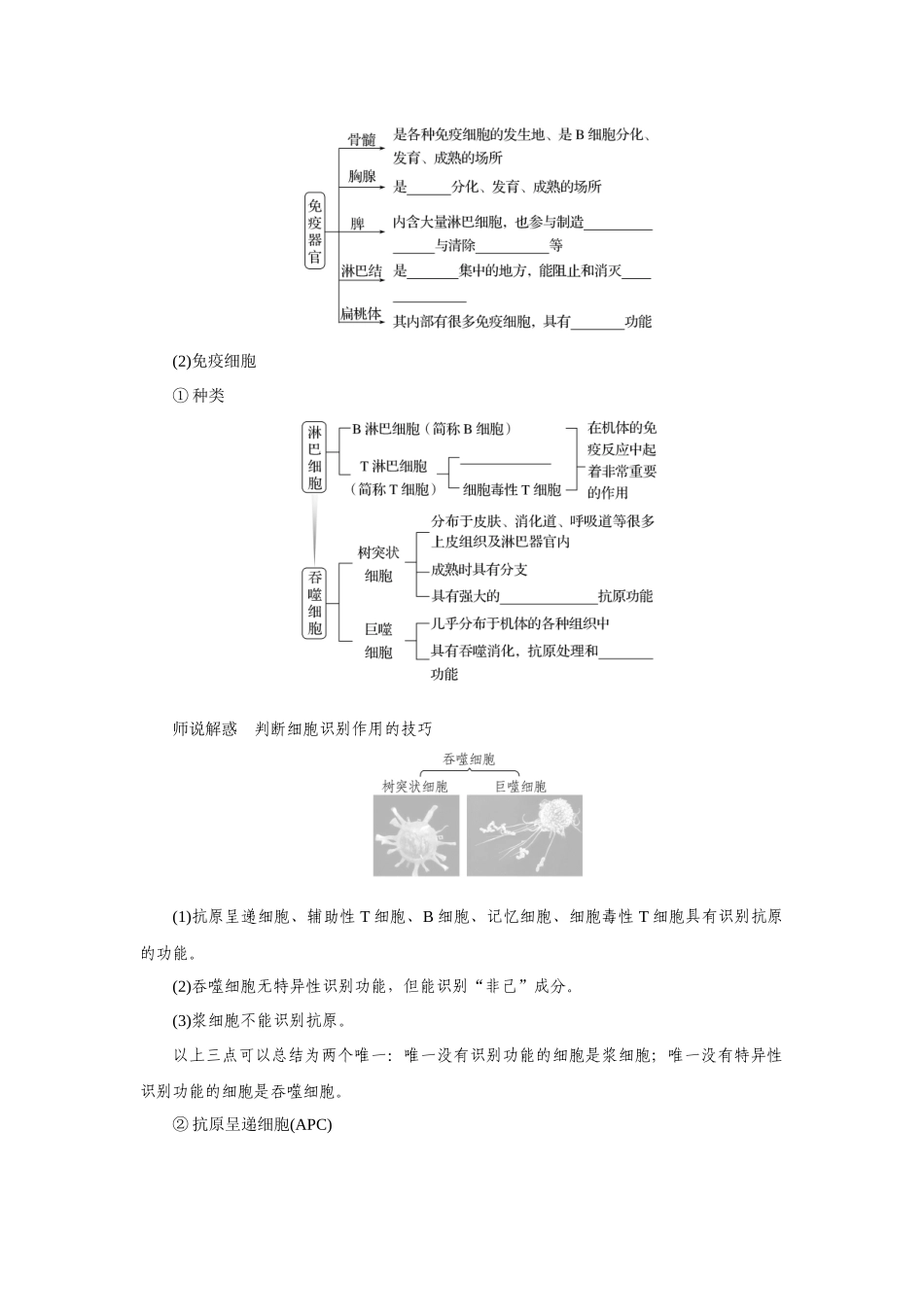 第4讲免疫调节.docx_第3页