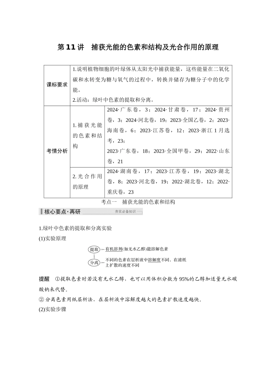 第11讲捕获光能的色素和结构及光合作用的原理.docx_第1页