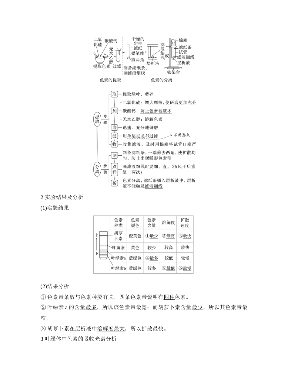 第11讲捕获光能的色素和结构及光合作用的原理.docx_第2页