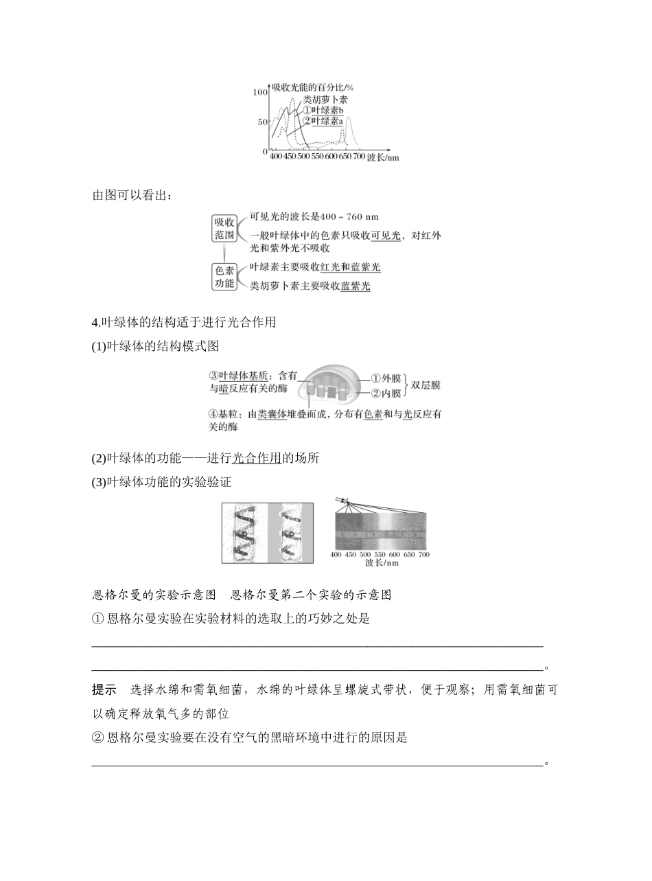 第11讲捕获光能的色素和结构及光合作用的原理.docx_第3页