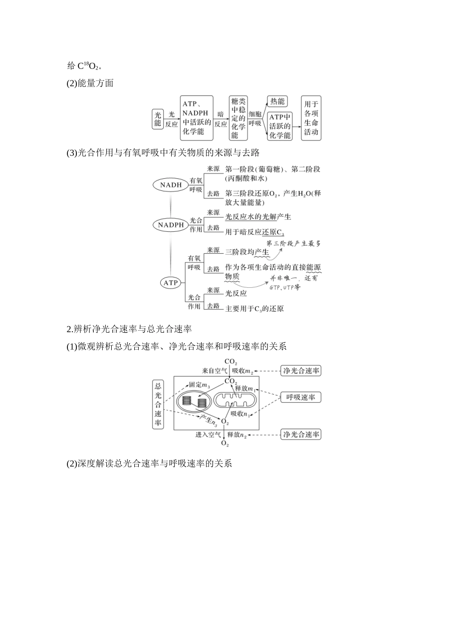 第13讲光合作用和细胞呼吸的综合分析.docx_第2页