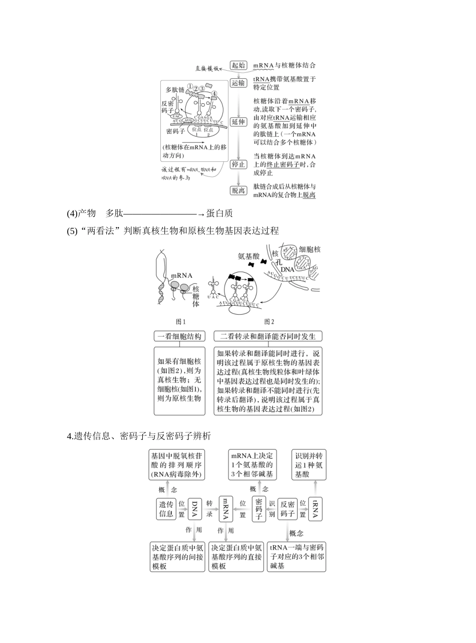 第27讲基因的表达.docx_第3页