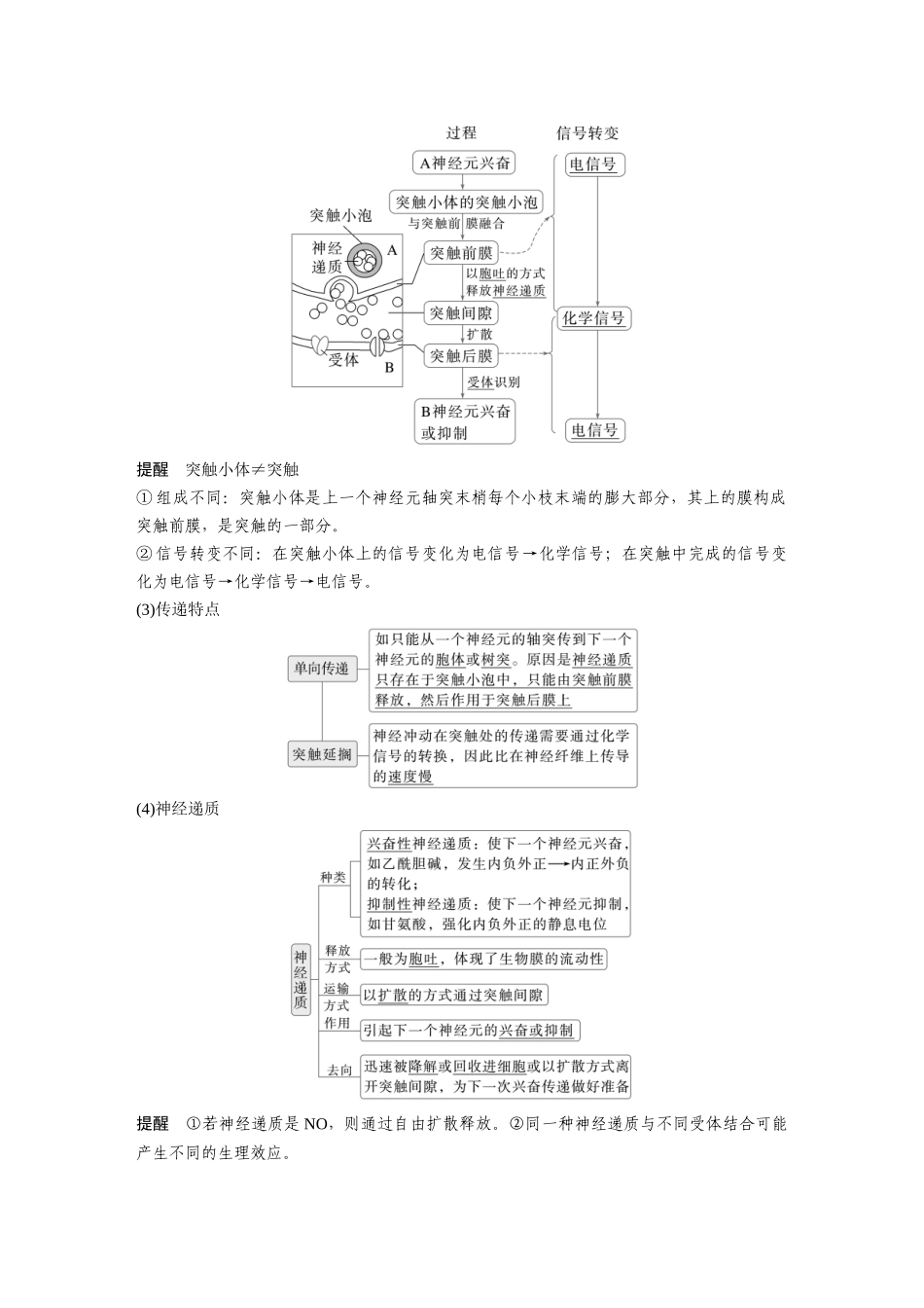 第八单元第34课时神经冲动的产生和传导.docx_第3页