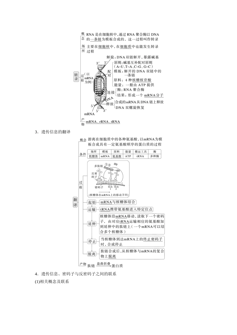 第六单元第27课时基因的表达.docx_第2页