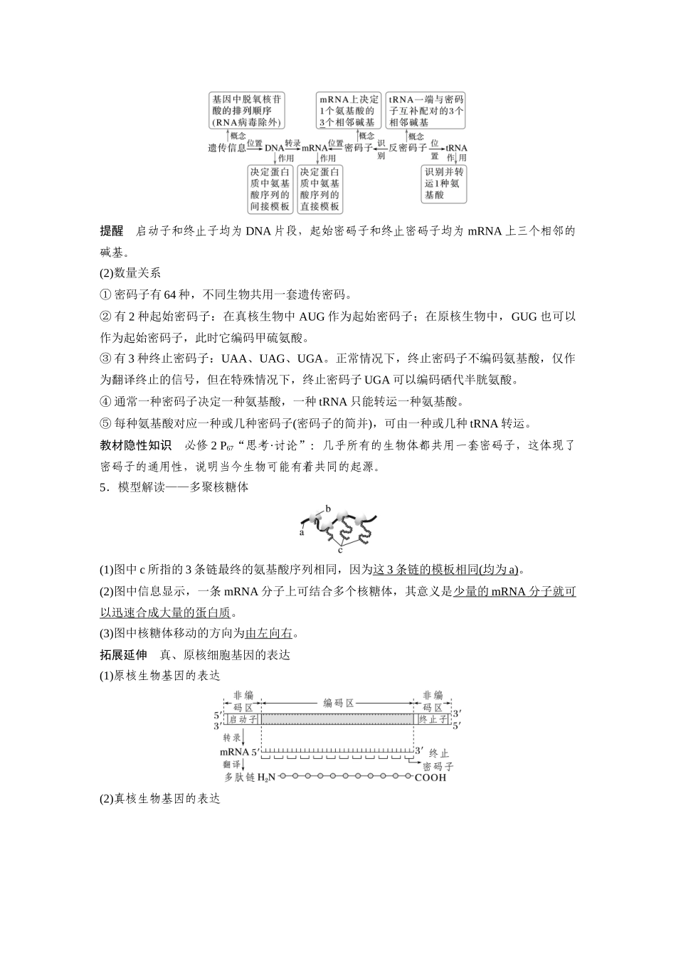 第六单元第27课时基因的表达.docx_第3页