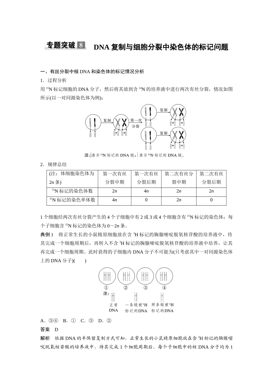 第六单元专题突破8DNA复制与细胞分裂中染色体的标记问题.docx_第1页