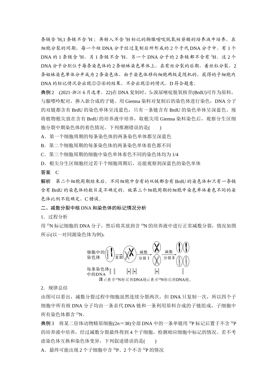 第六单元专题突破8DNA复制与细胞分裂中染色体的标记问题.docx_第2页
