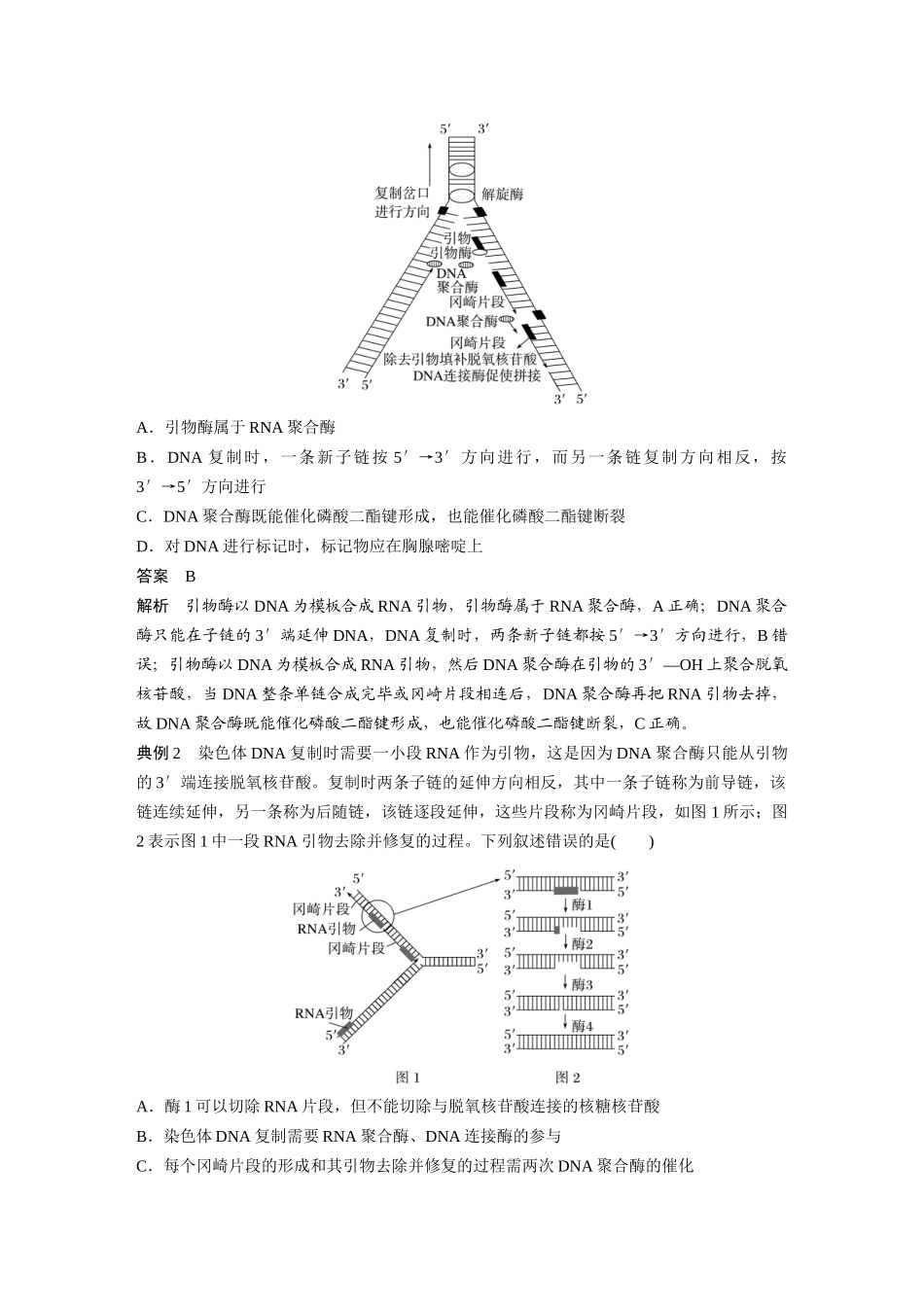 第六单元专题突破9DNA复制与冈崎片段、DNA损伤的修复机制.docx_第2页