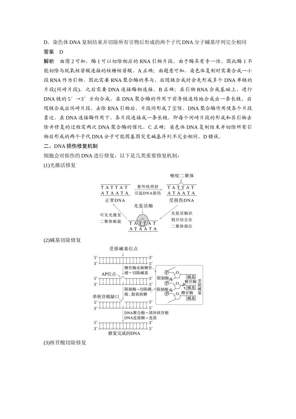 第六单元专题突破9DNA复制与冈崎片段、DNA损伤的修复机制.docx_第3页