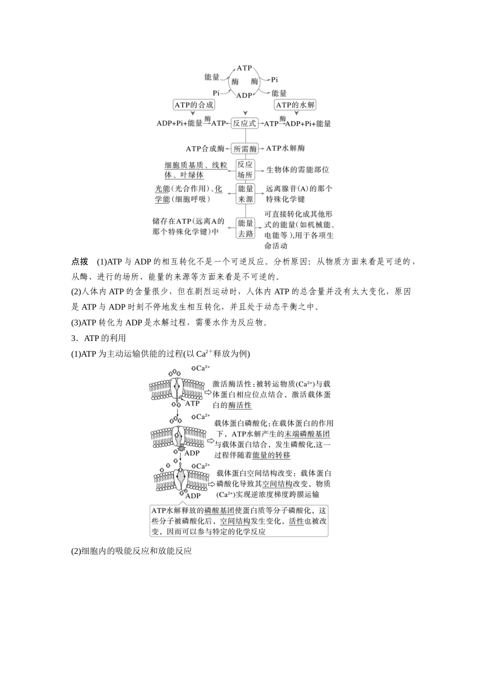 第三单元第10课时细胞的能量“货币”ATP.docx_第2页