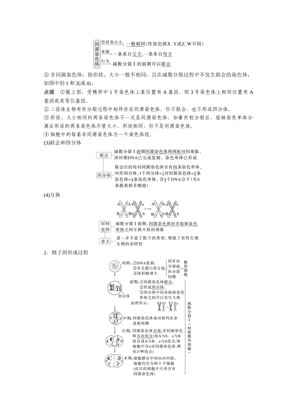 第四单元第17课时减数分裂和受精作用.docx_第2页