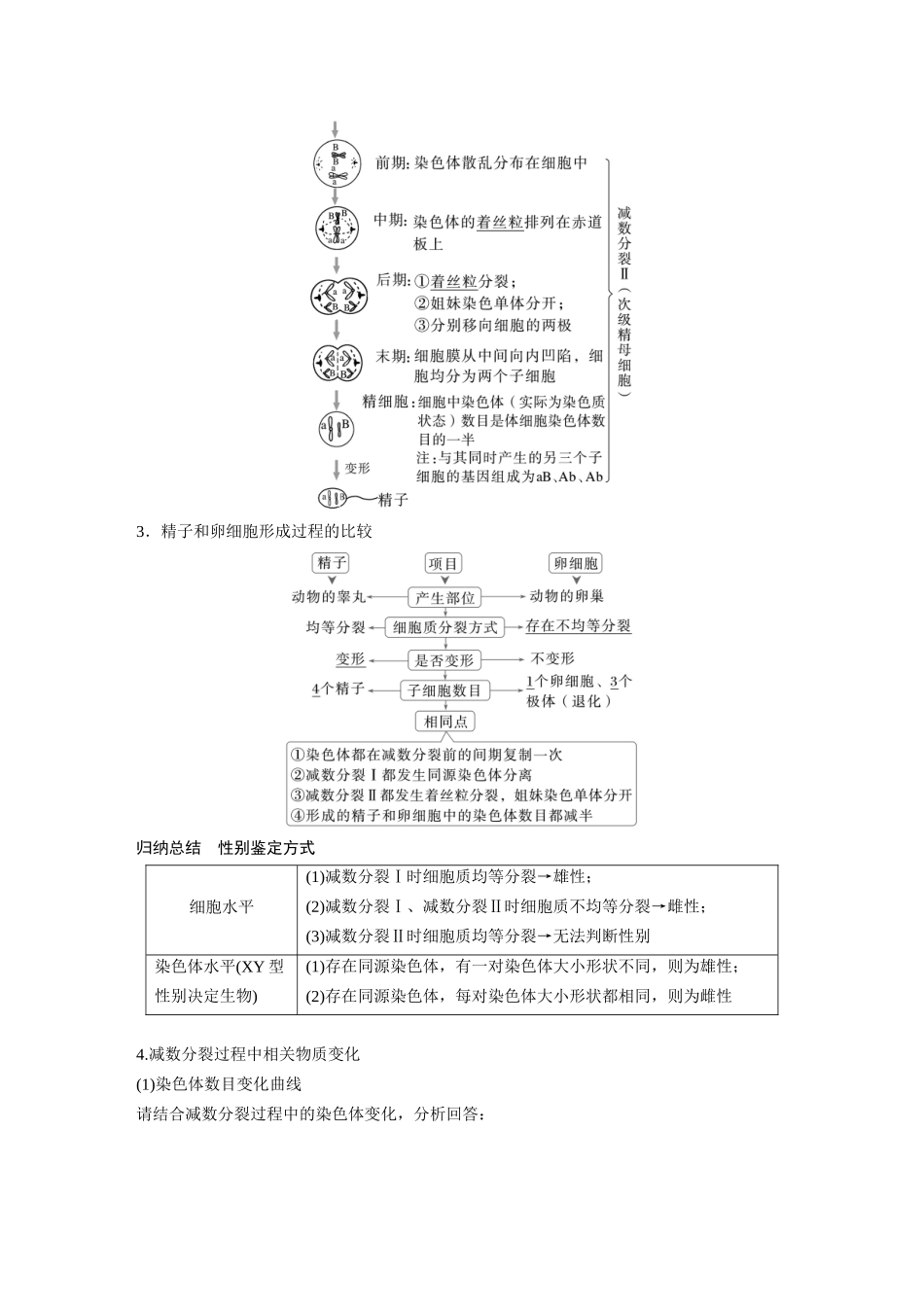 第四单元第17课时减数分裂和受精作用.docx_第3页