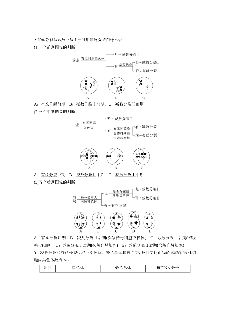 第四单元第18课时减数分裂与有丝分裂的比较及观察蝗虫精母细胞减数分裂装片.docx_第2页