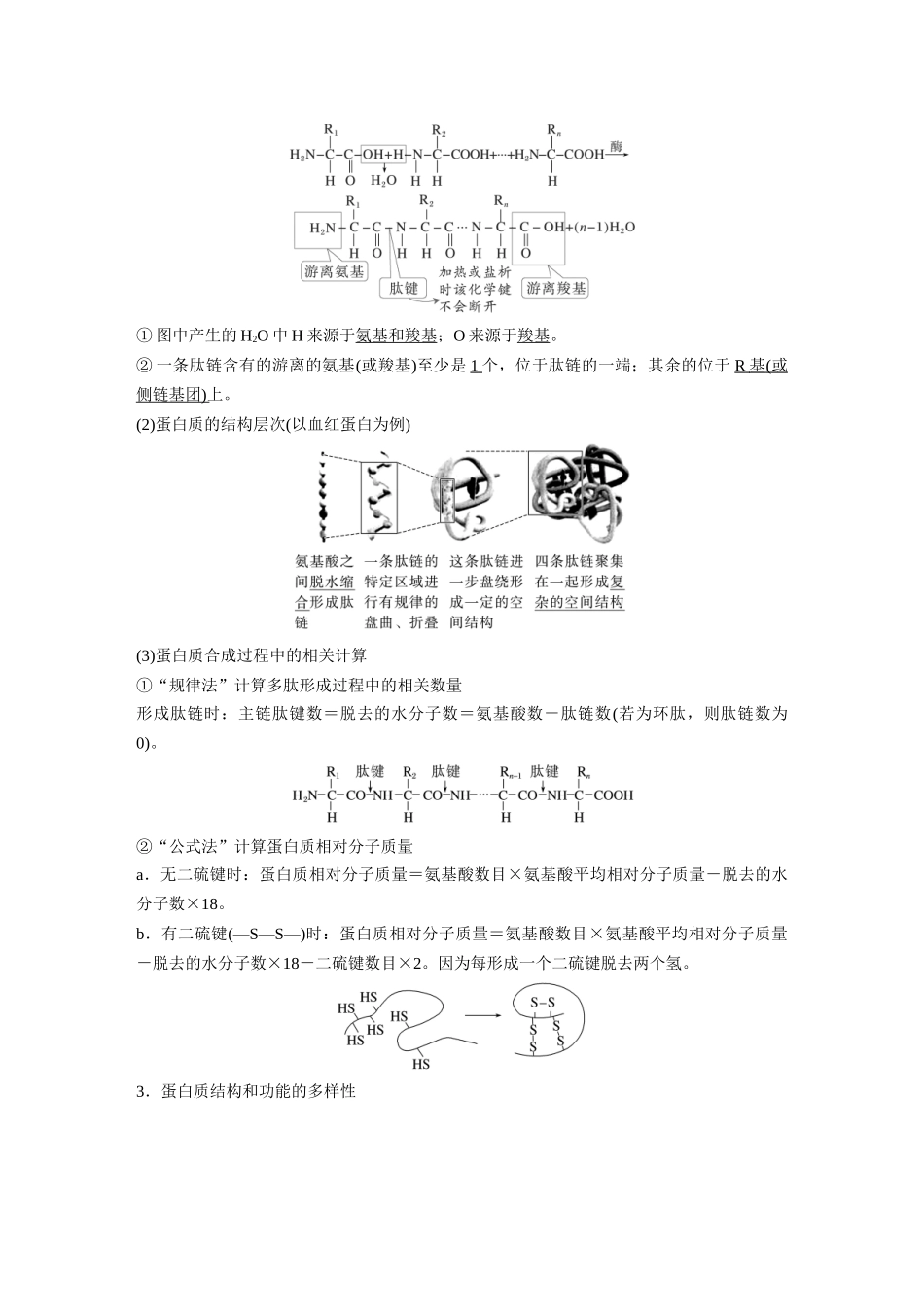 第一单元第3课时蛋白质和核酸.docx_第2页