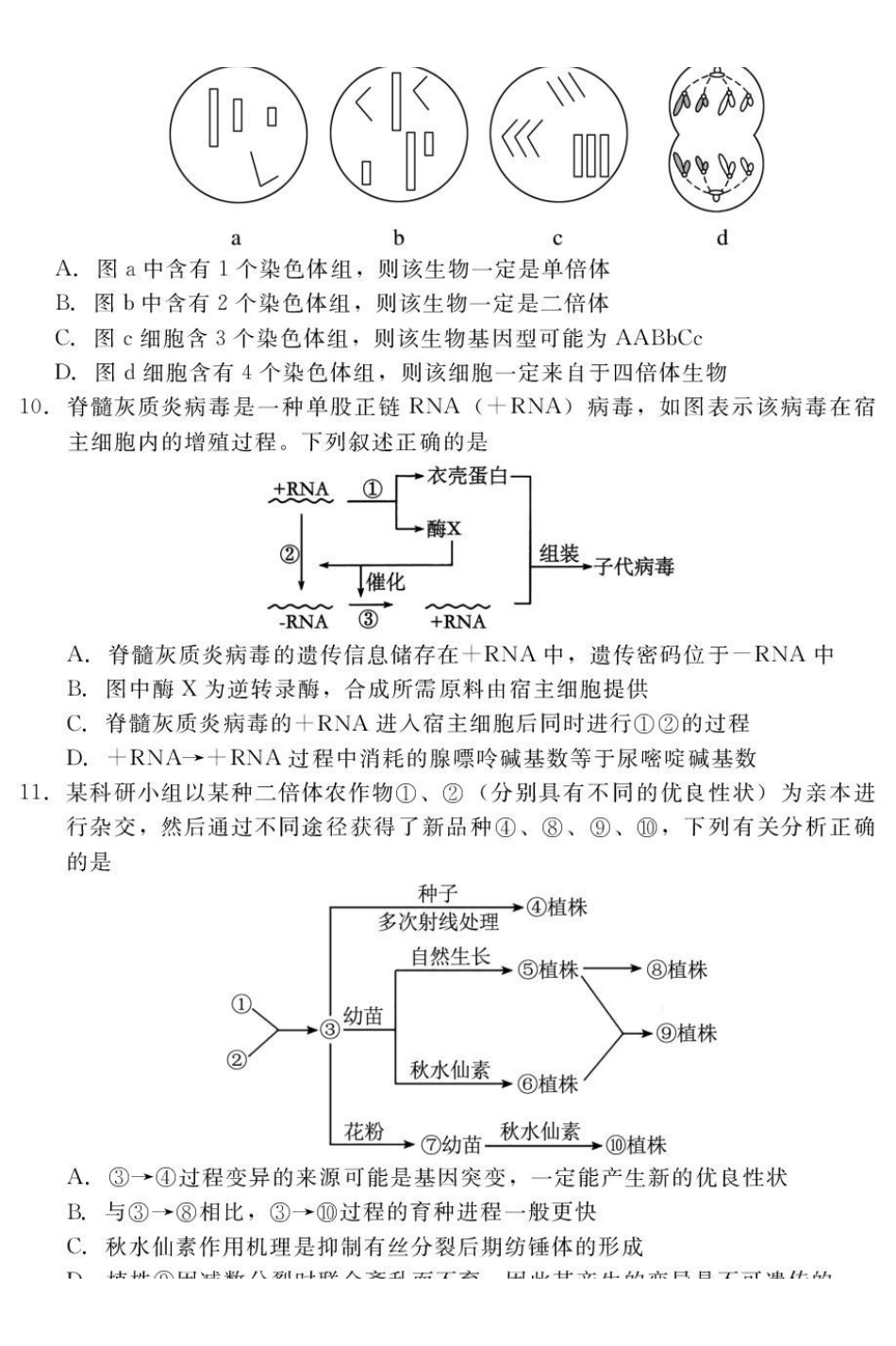 河北NT20名校联合体2025-2026学年高一下学期7月期末考试生物试卷(含解析).pdf_第3页