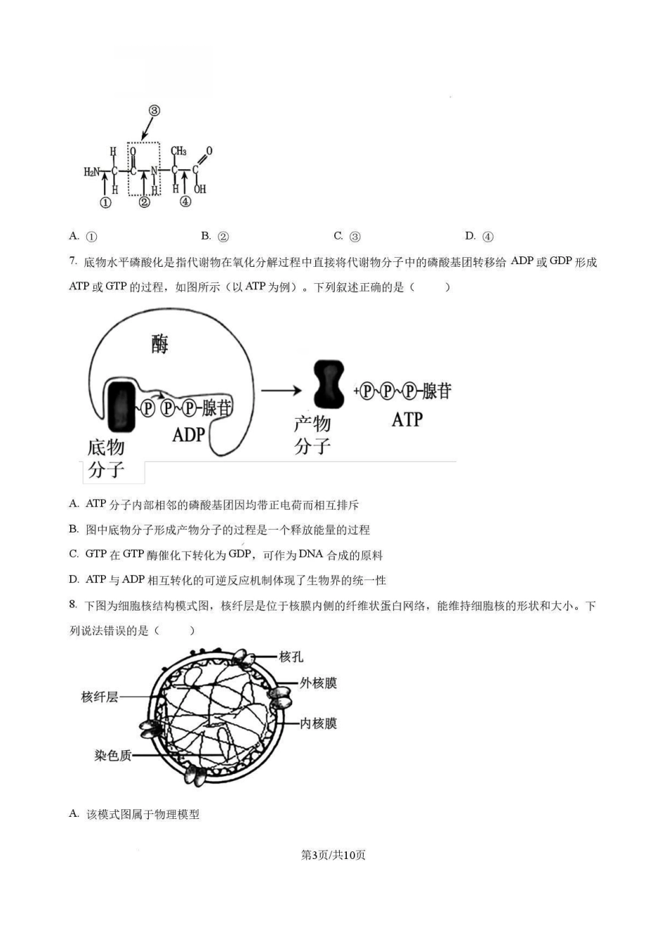 河南名校2025-2026学年高二下学期7月期末考试生物试卷.pdf_第3页