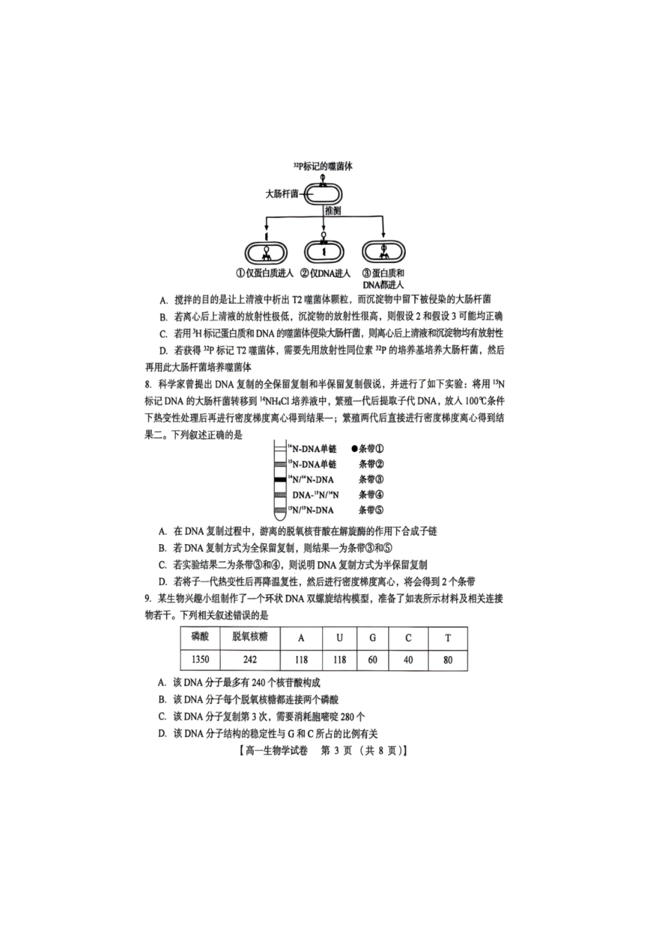 河南三门峡市2025-2026学年高一下学期7月期末质量检测生物试题(含答案).pdf_第3页