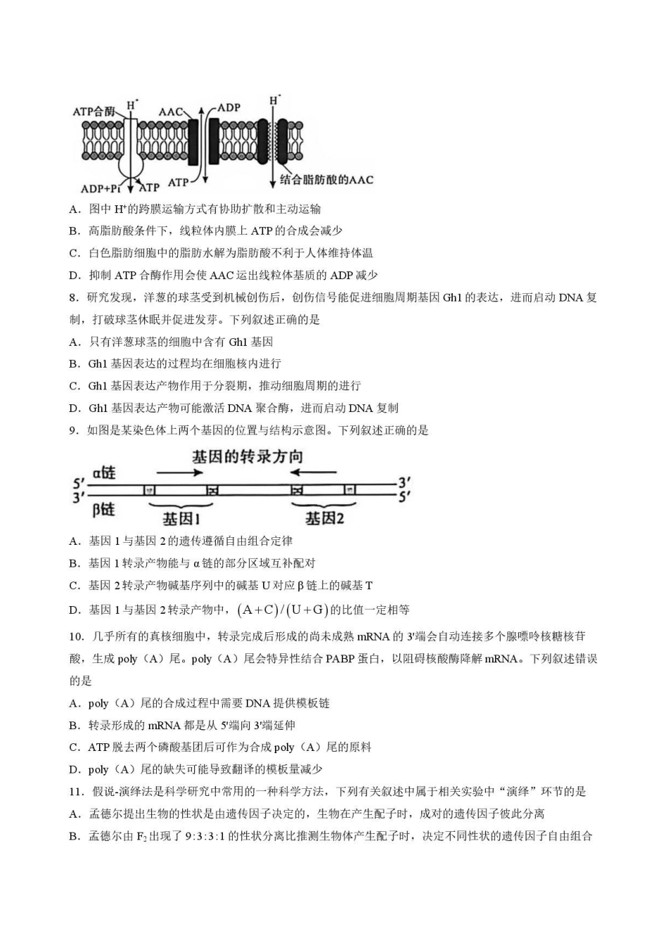 湖北荆州市2025-2026学年高一下学期期末质量检测生物试卷.pdf_第3页