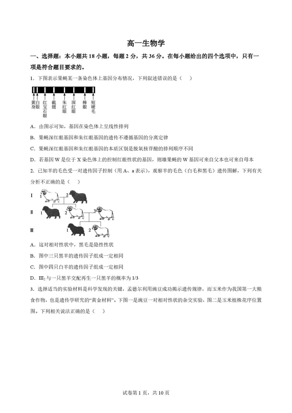 湖北随州市2025-2026学年高一下学期期末考试生物原卷.pdf_第1页