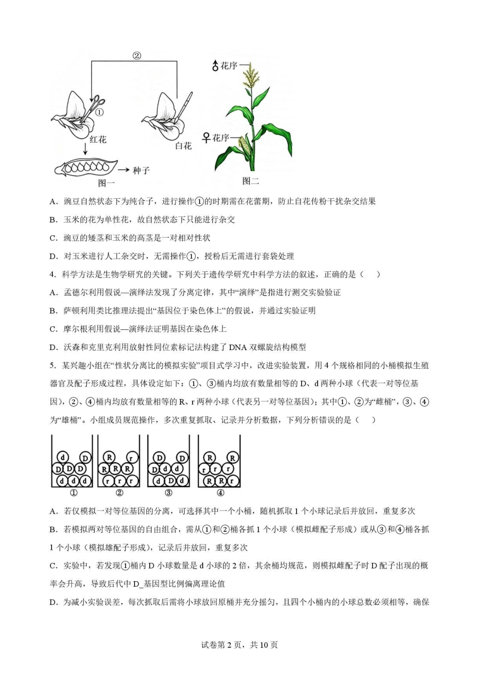 湖北随州市2025-2026学年高一下学期期末考试生物原卷.pdf_第2页