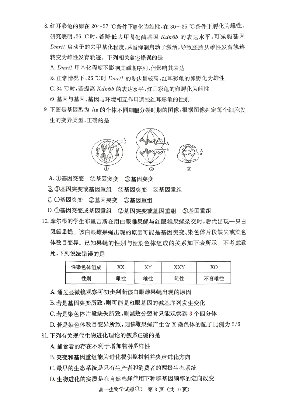湖南师大附中生物高一下学期期末考试.pdf_第3页
