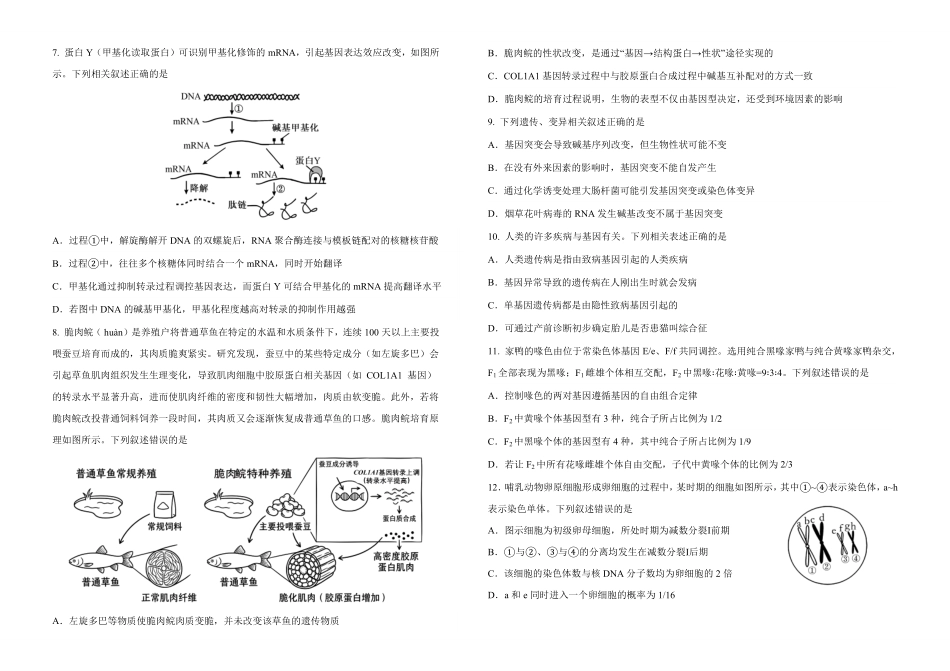 吉林长春外国语学校2025-2026学年高一下学期期末考试生物含答案.pdf_第2页
