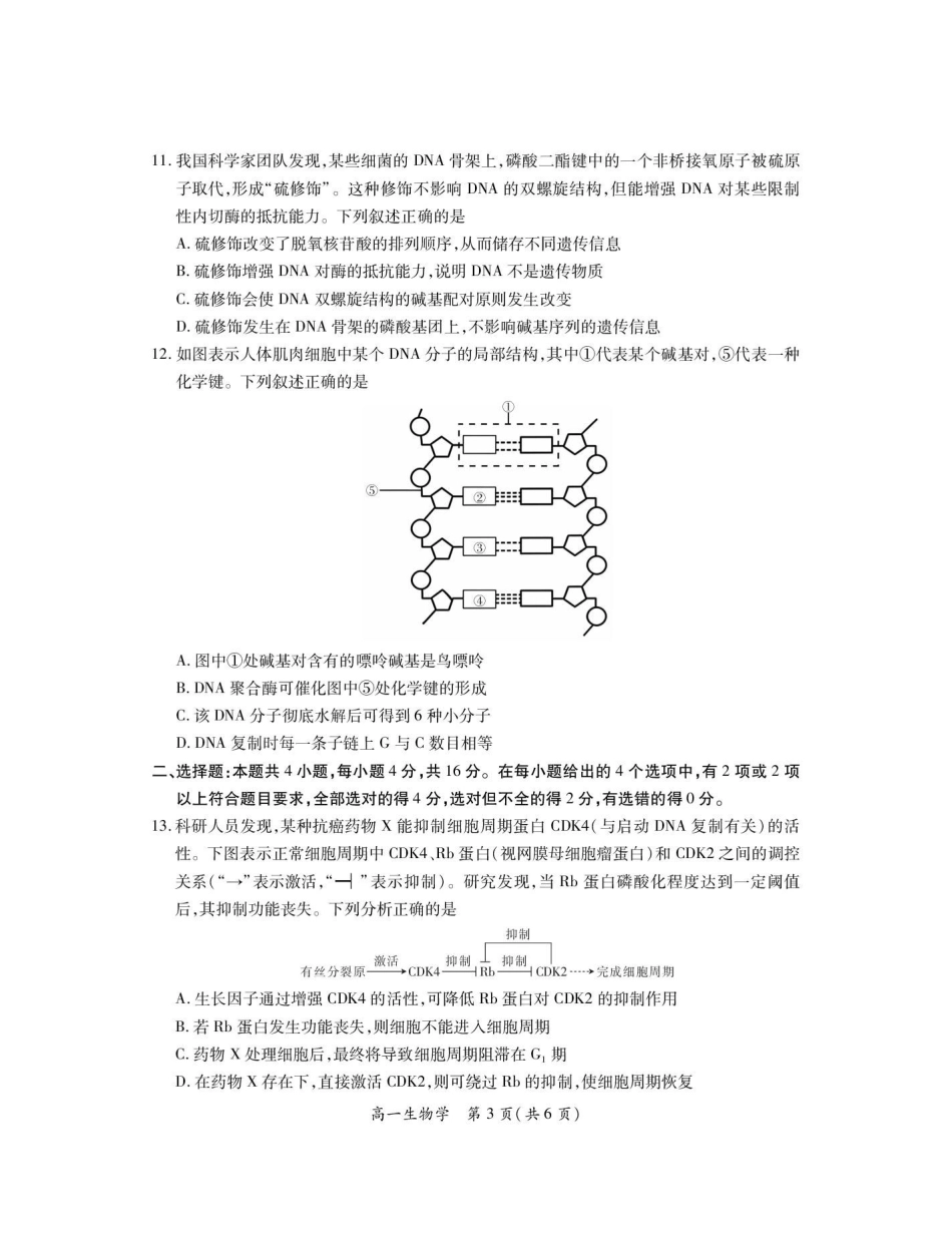 江西九江市六校2025-2026学年高一年级下学期期末考试生物试卷(含答案).pdf_第3页
