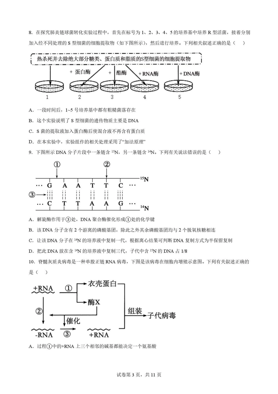 辽宁鞍山市2025-2026学年高一下学期7月期末考试生物原卷.pdf_第3页