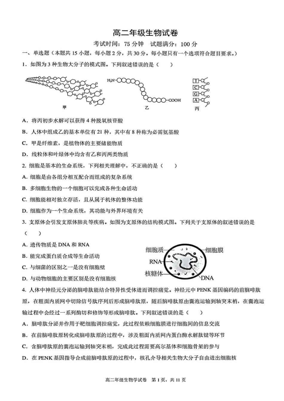 辽宁五校联考(大连24中、大连八中、鞍山一中、辽宁实验中学、东北育才)2025-2026学年高二下学期期末考试生物含答案.pdf_第1页