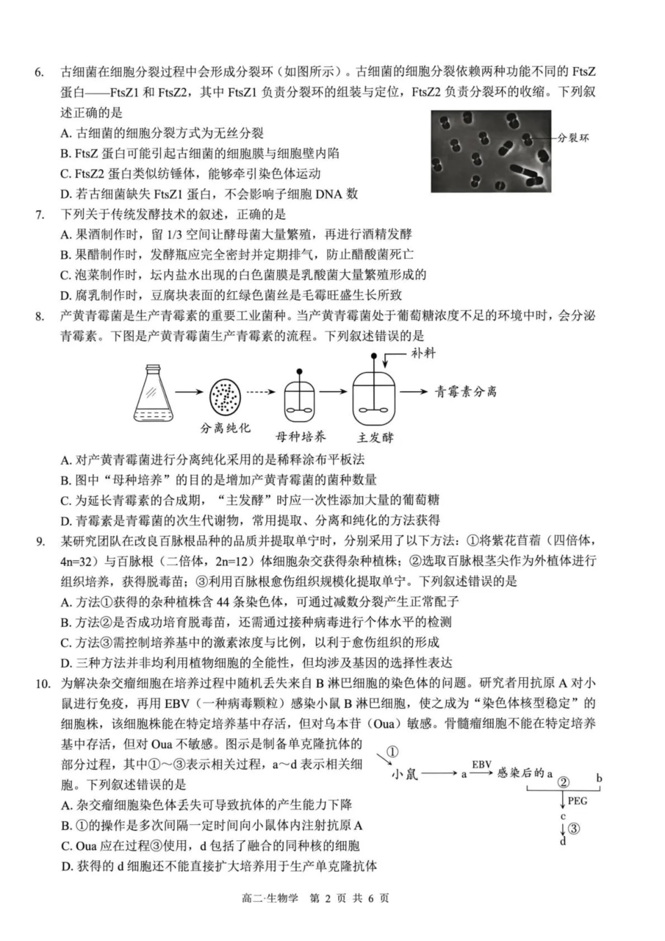 泸州市高2024级高二下质量监测试题生物.pdf_第2页