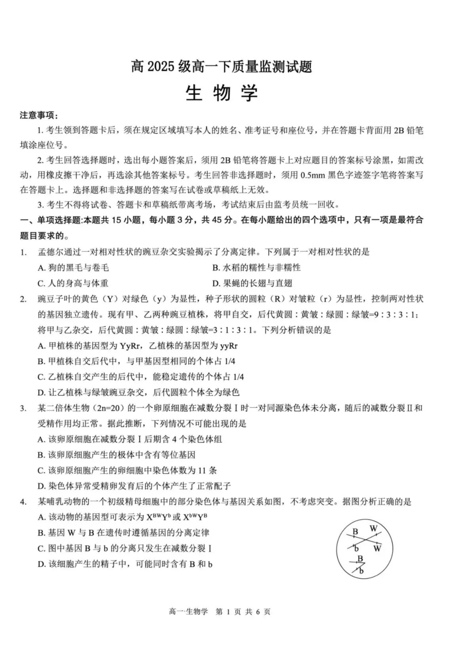 泸州市高2025级高一下质量监测试题生物.pdf_第1页