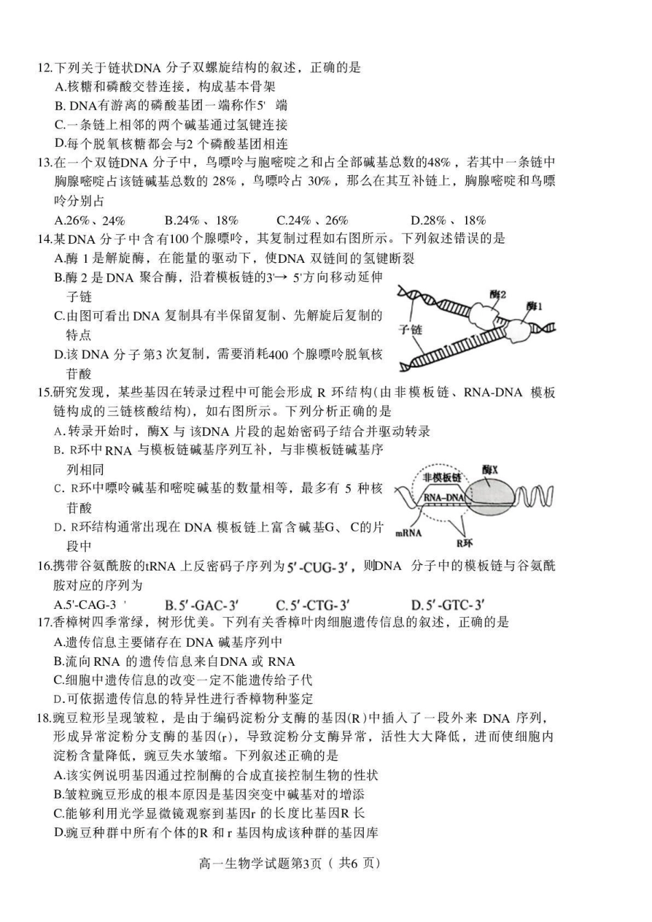 绵阳市高中2025级第一学年末教学质量测试生物.pdf_第3页