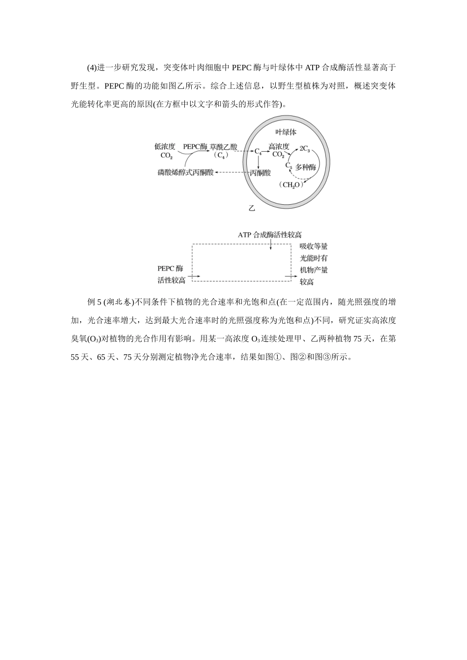 热考微专题3研读植物代谢“三率两点”的测定及判定.docx_第3页
