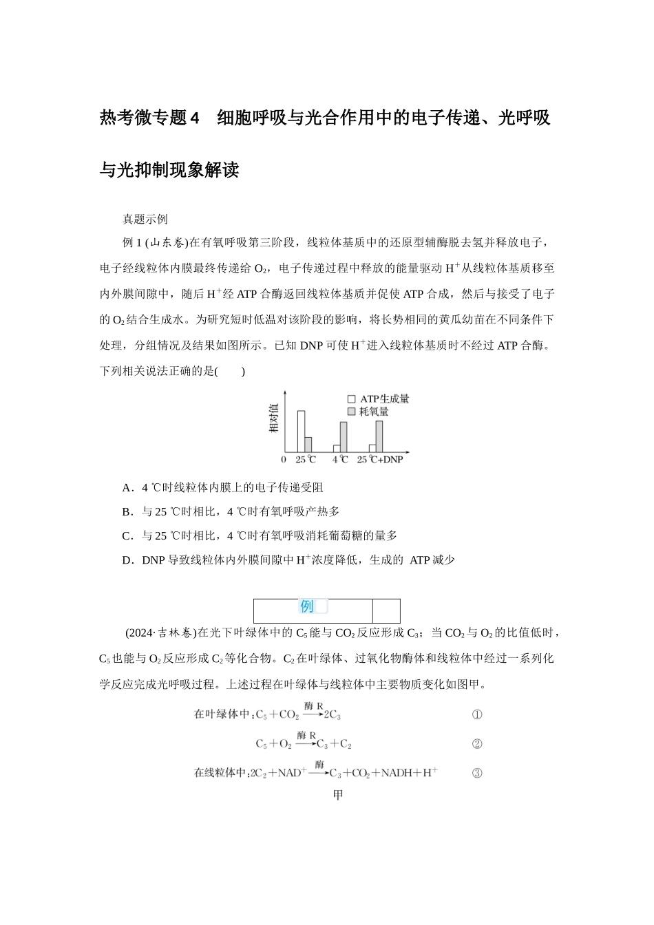 热考微专题4细胞呼吸与光合作用中的电子传递、光呼吸与光抑制现象解读.docx_第1页