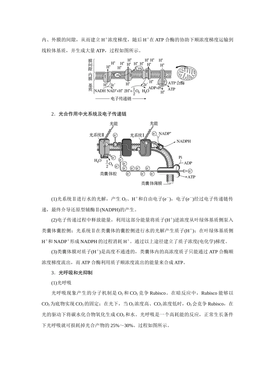 热考微专题4细胞呼吸与光合作用中的电子传递、光呼吸与光抑制现象解读.docx_第3页