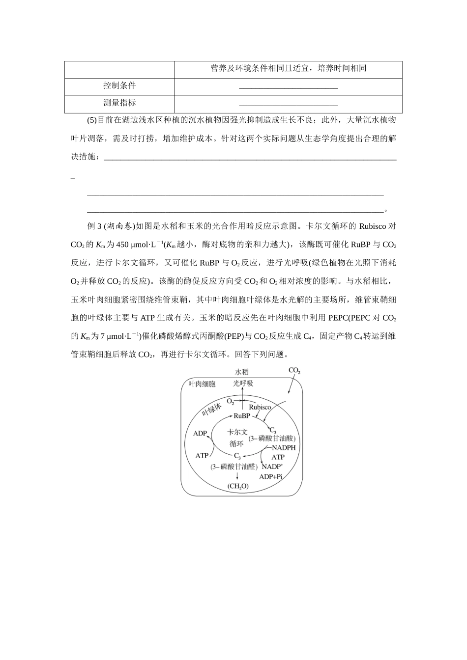 热考微专题5三类生物的碳同化机制解读——C3植物和C4植物、CAM途径.docx_第3页