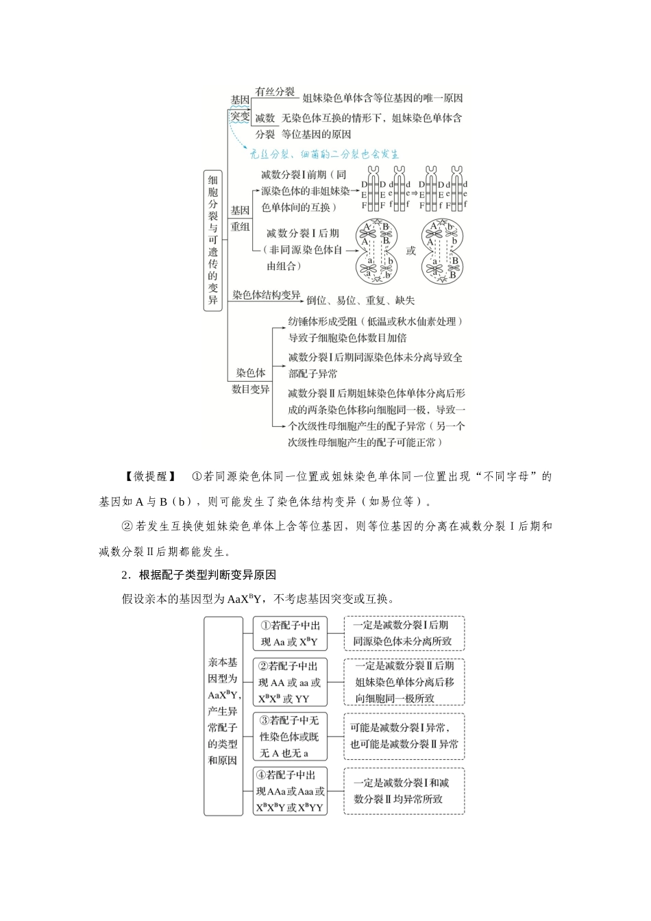 热考微专题7细胞分裂与遗传变异的关系.docx_第3页
