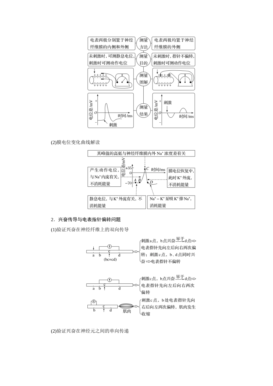 热考微专题12膜电位变化曲线分析及电表指针偏转问题.docx_第2页