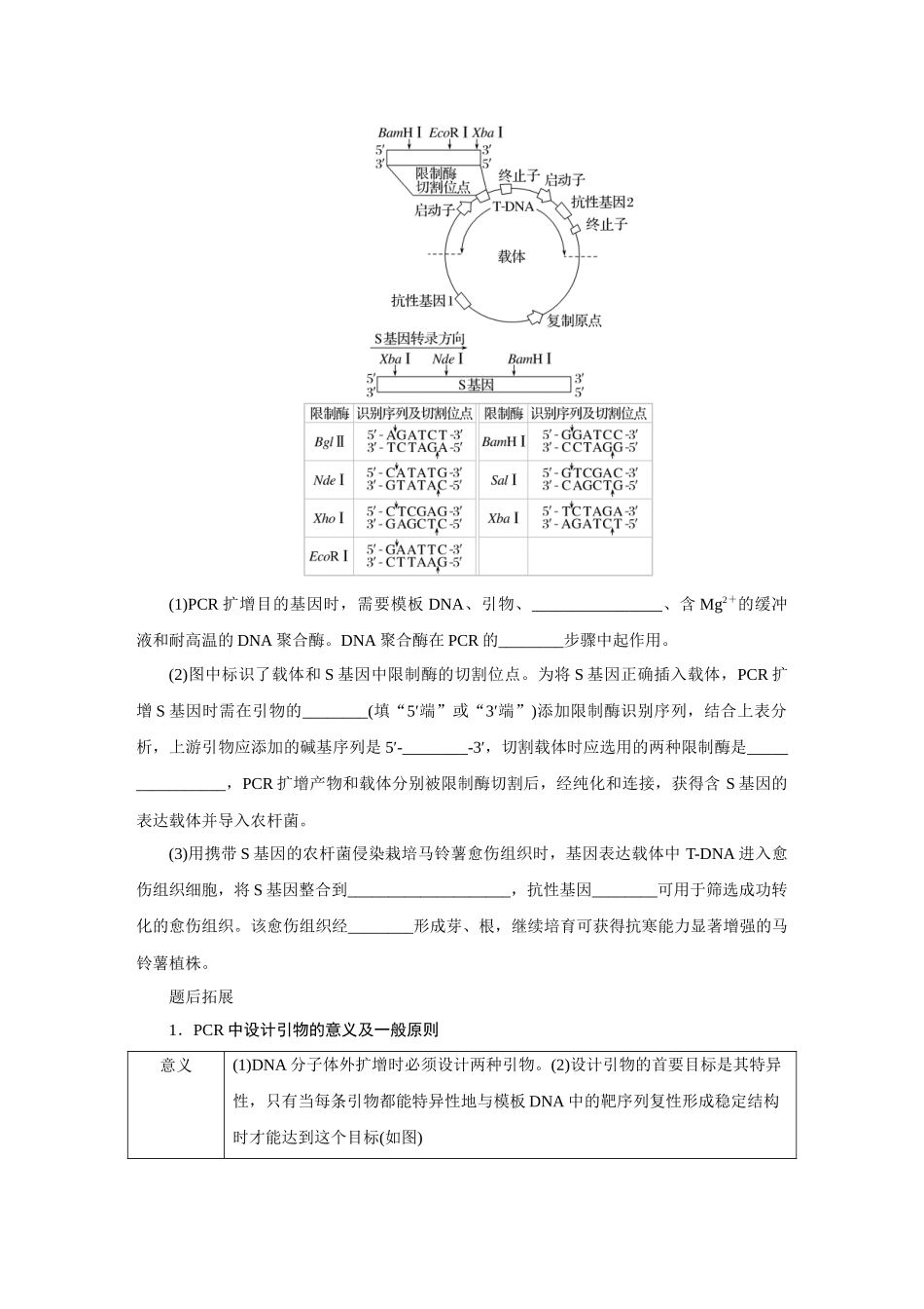 热考微专题18PCR技术的原理与应用.docx_第2页