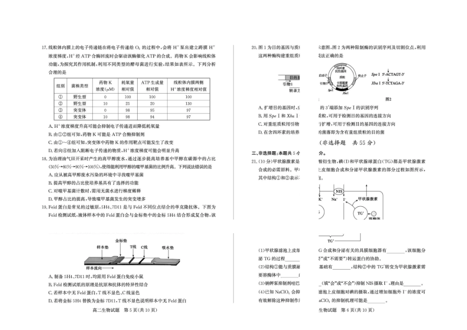 山东德州市2025-2026高二下学期生物期末考试题及答案2026-7高二生物—试题.pdf_第3页