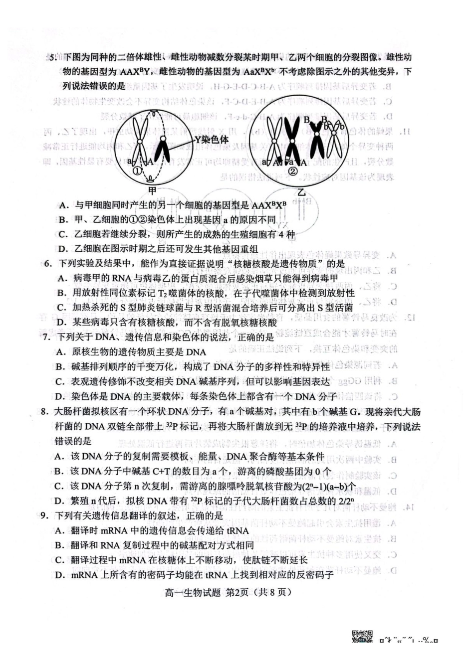 山东菏泽市2025-2026学年高一下学学期期末考试生物试卷.pdf_第2页