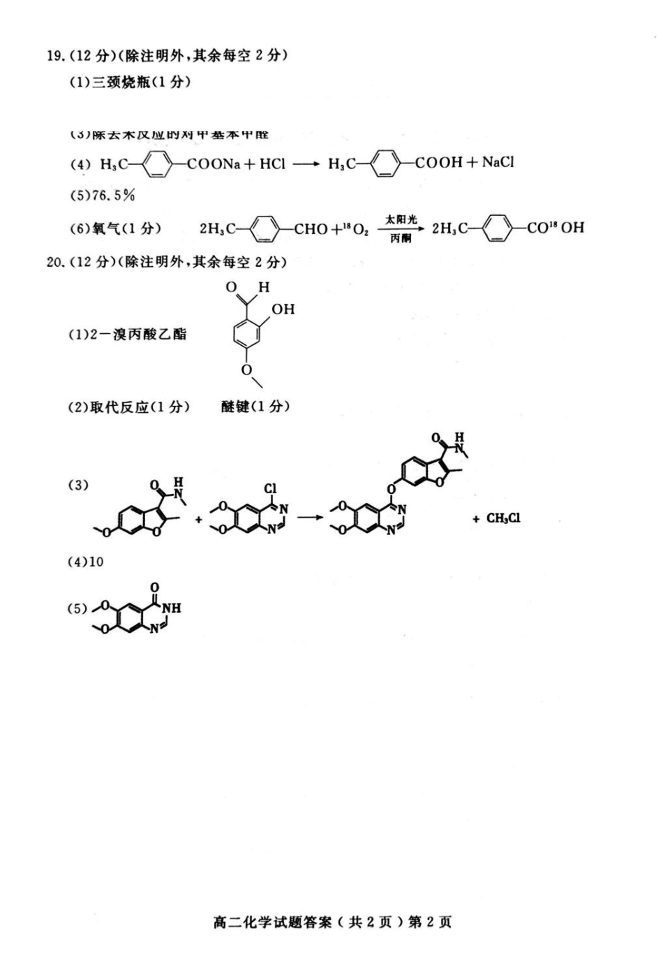 山东聊城2026年高二下学期期末化学答案.pdf_第2页